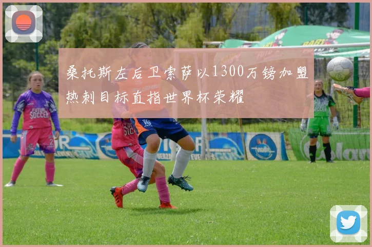 桑托斯左后卫索萨以1300万镑加盟热刺目标直指世界杯荣耀